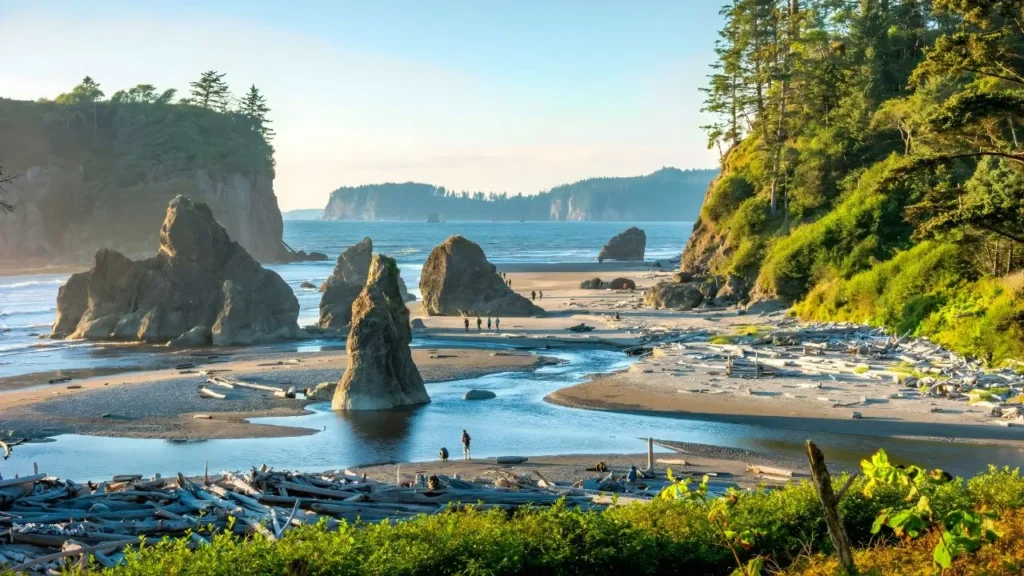 Olympic National Park, Washington